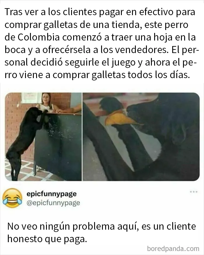 20 Memes caóticos y divertidos sobre cosas de la vida
