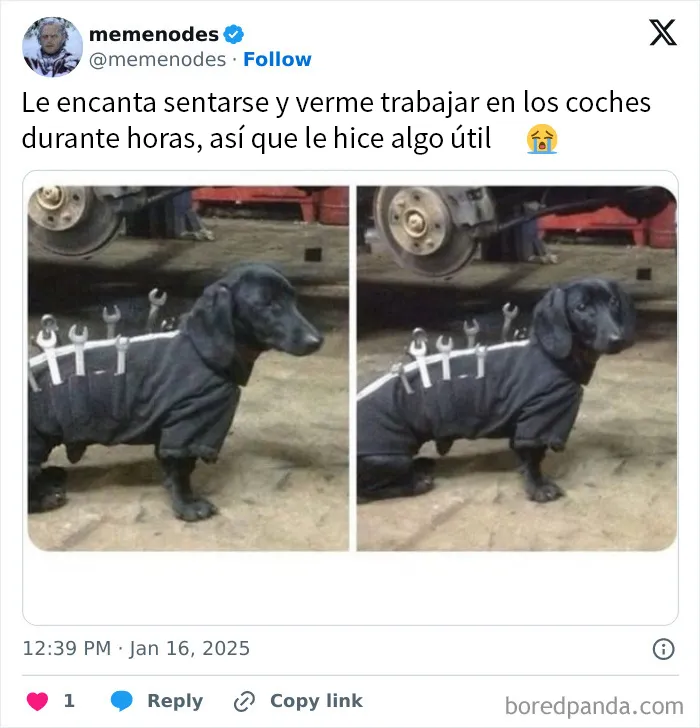 20 Memes caóticos y divertidos sobre cosas de la vida