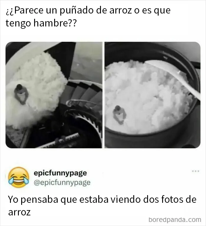 20 Memes caóticos y divertidos sobre cosas de la vida