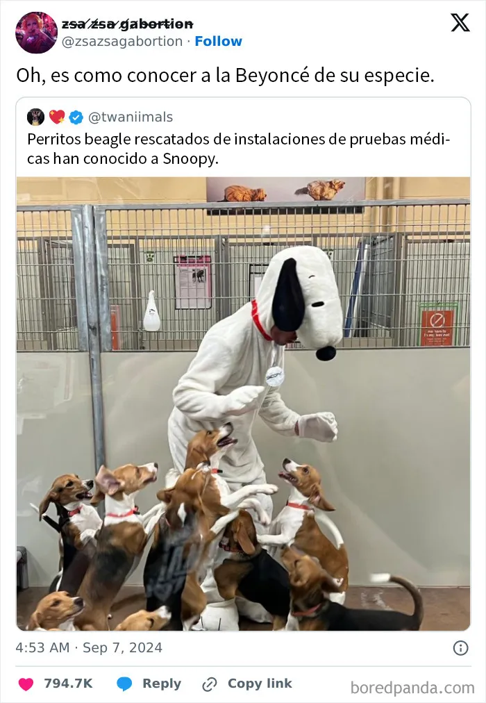 20 Memes "contra la humanidad" para ayudarte a sobrevivir esta semana