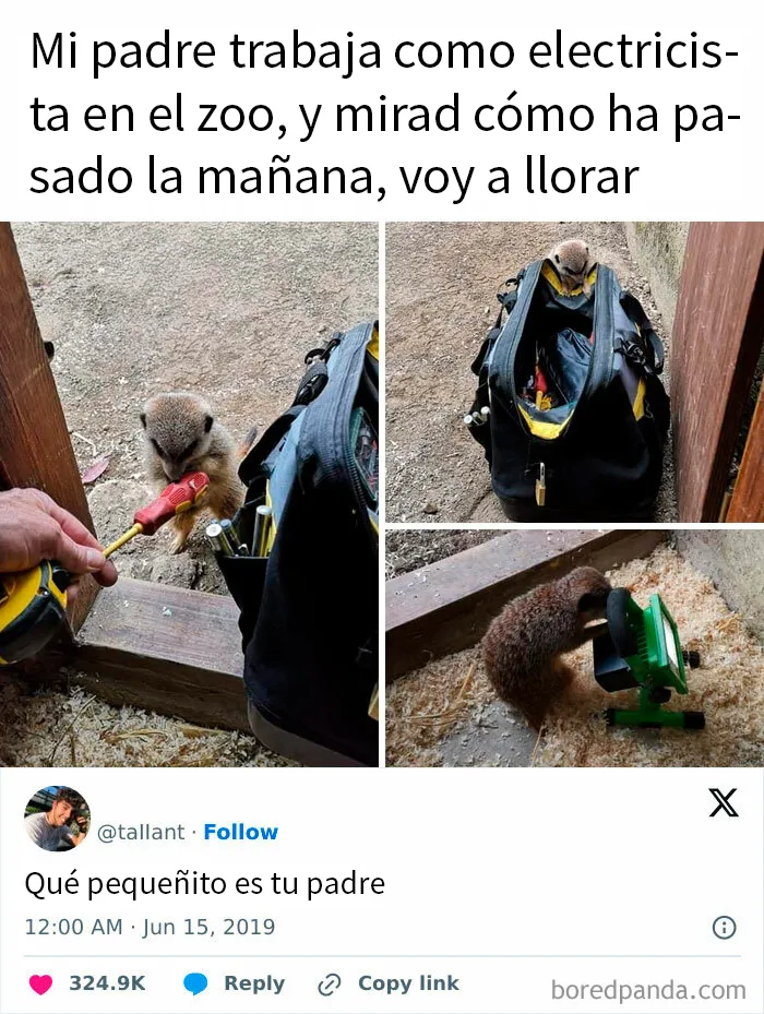 20 Memes "contra la humanidad" para ayudarte a sobrevivir esta semana