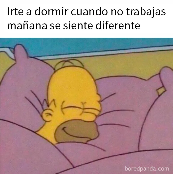 20 Memes que te pondrán de buen humor