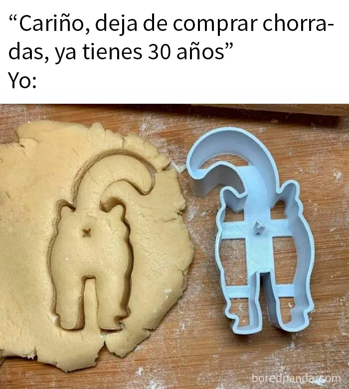 20 Memes que te pondrán de buen humor