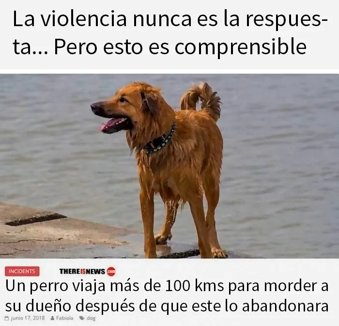 20 Memes que te pondrán de buen humor