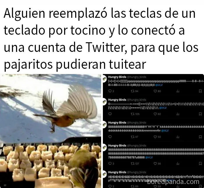 20 Memes que te pondrán de buen humor
