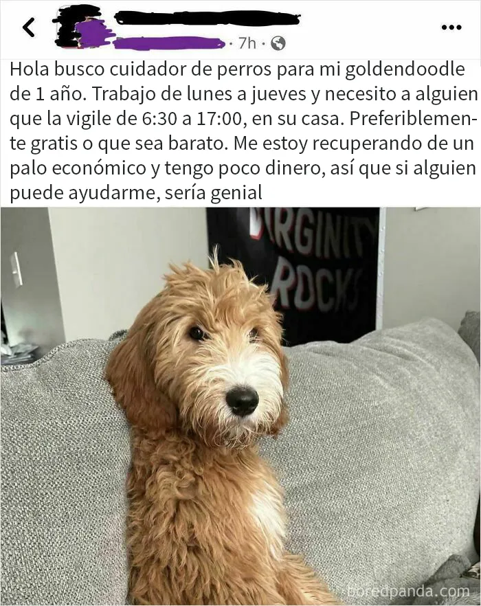 Buscando cuidador de perros 42 horas a la semana, gratis o barato, y que se lo lleve a su casa
