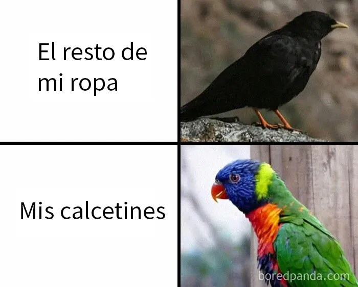 20 Memes raros pero divertidos para que pases un buen rato