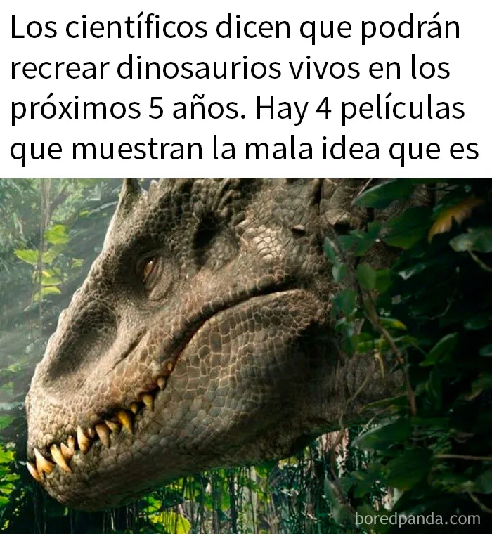 20 Memes raros pero divertidos para que pases un buen rato