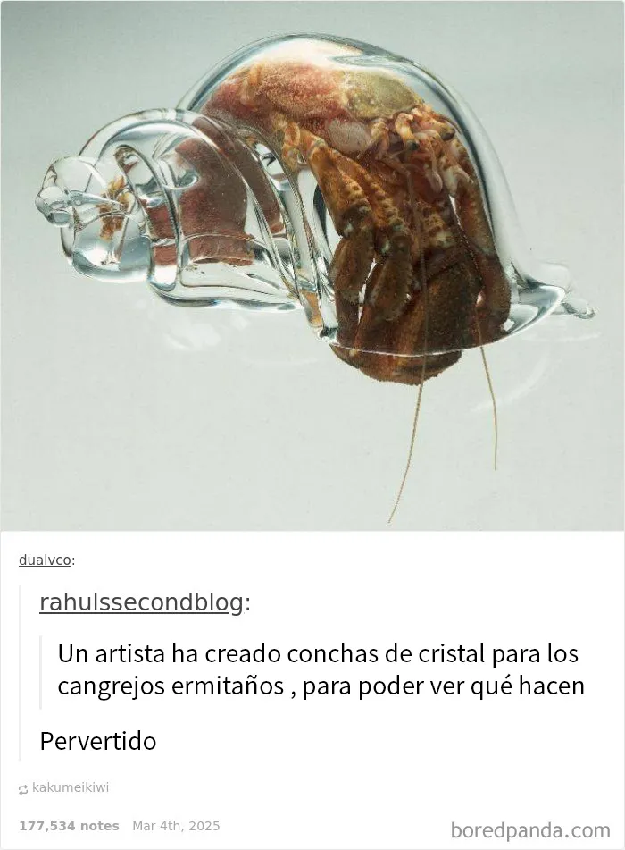 20 Memes raros pero divertidos para que pases un buen rato