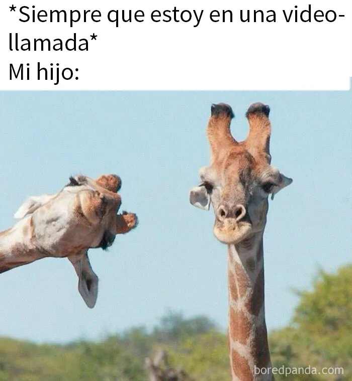 20 Memes raros pero divertidos para que pases un buen rato