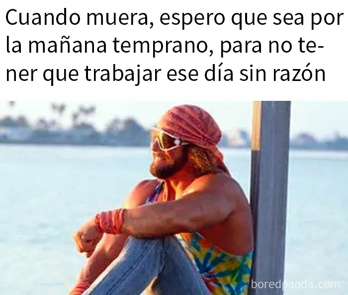 20 Divertidos memes bien cargados de sarcasmo