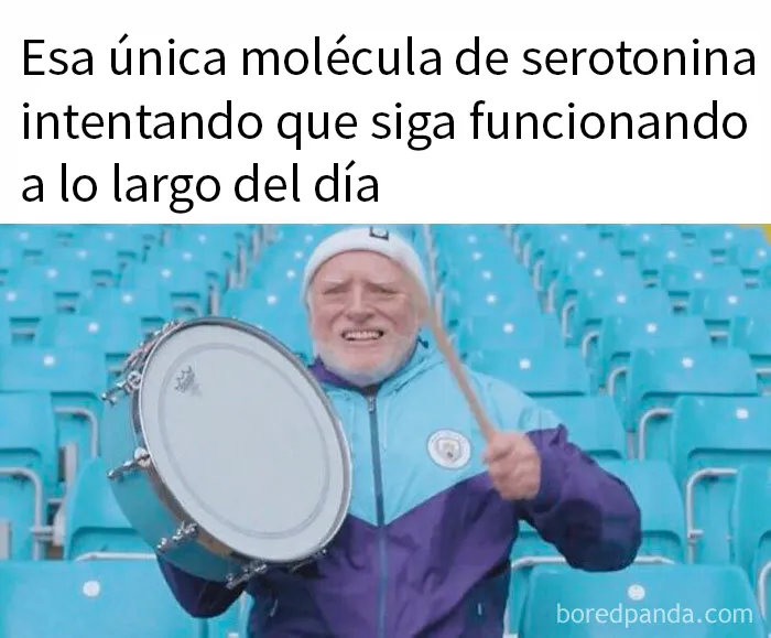 20 Divertidos memes bien cargados de sarcasmo