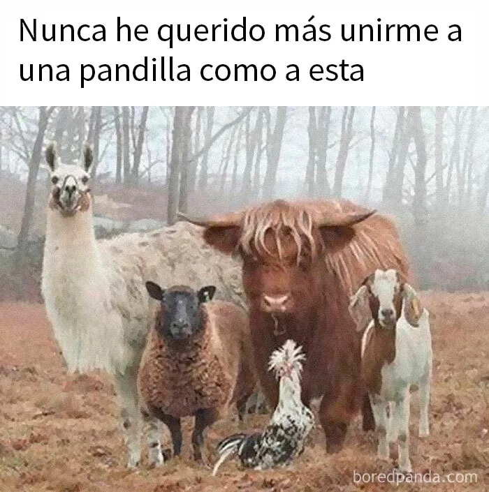20 Divertidos memes bien cargados de sarcasmo