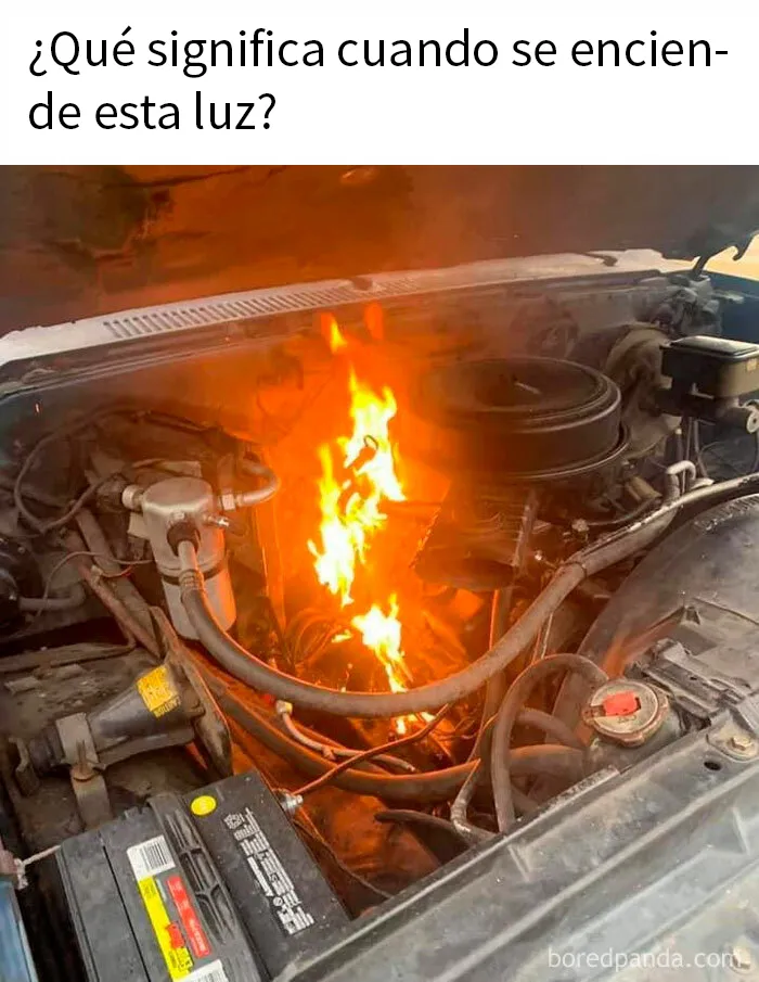 20 Divertidos memes bien cargados de sarcasmo