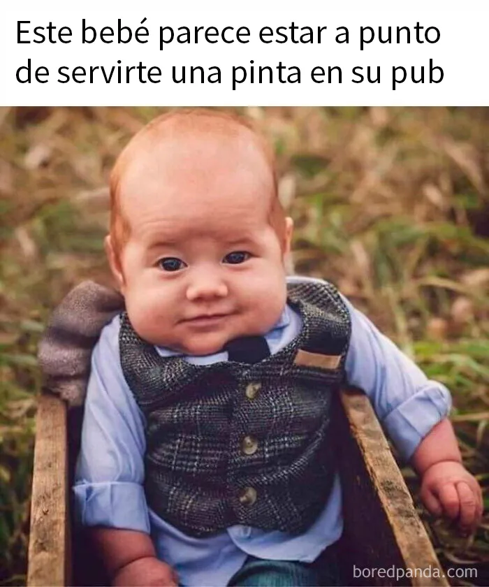 20 Divertidos memes bien cargados de sarcasmo