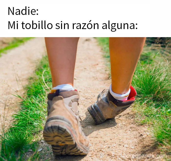 20 Divertidos memes bien cargados de sarcasmo