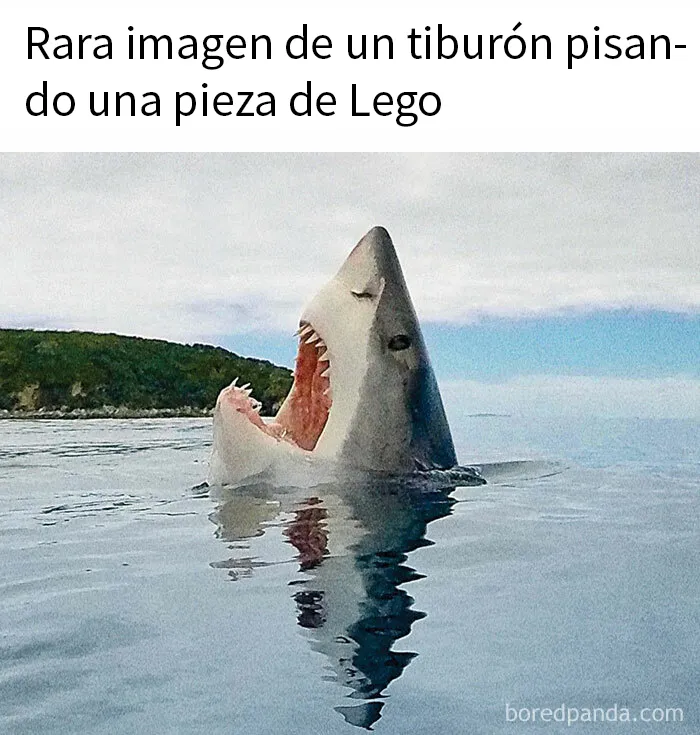 20 Divertidos memes bien cargados de sarcasmo