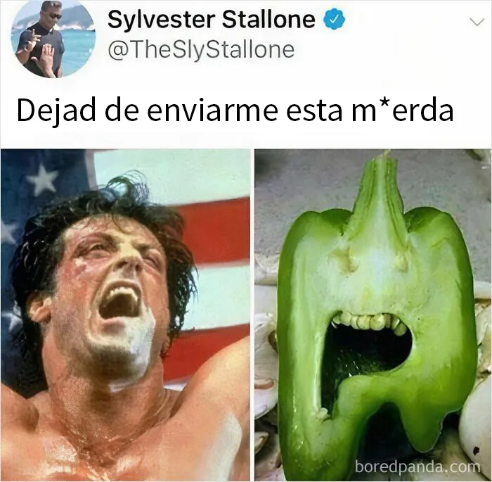 20 Divertidos memes bien cargados de sarcasmo