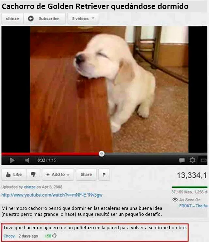 20 Comentarios que acabaron siendo mejores que la publicación original
