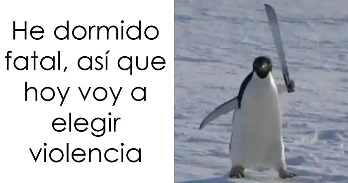 20 Memes aleatorios que son a la vez divertidos e ingeniosos