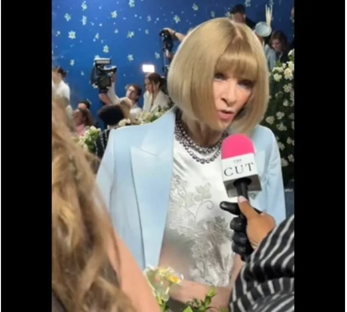 Las respuestas extrañas de Anna Wintour en la alfombra roja