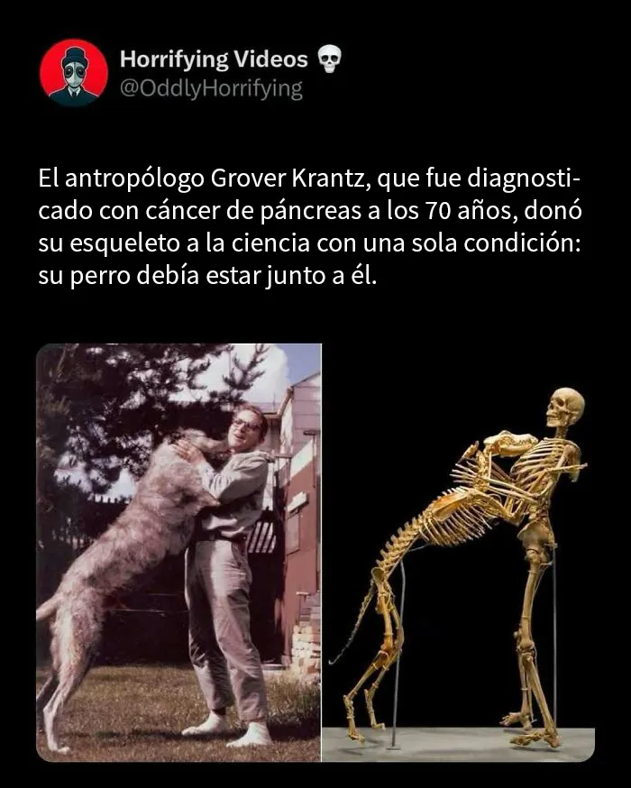 20 Imágenes extrañamente aterradoras que te llenarán de inquietud