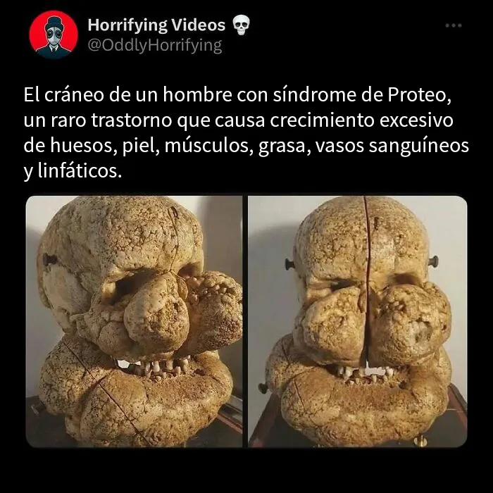 20 Imágenes extrañamente aterradoras que te llenarán de inquietud