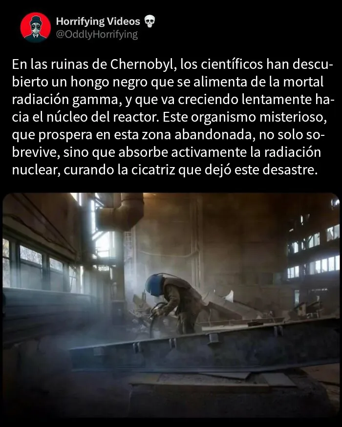 20 Imágenes extrañamente aterradoras que te llenarán de inquietud