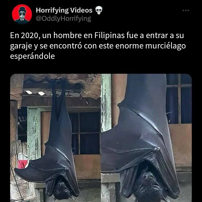 20 Imágenes extrañamente aterradoras que te llenarán de inquietud