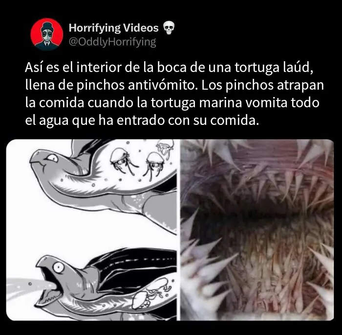 20 Imágenes extrañamente aterradoras que te llenarán de inquietud