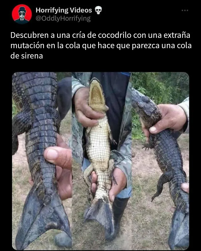 20 Imágenes extrañamente aterradoras que te llenarán de inquietud