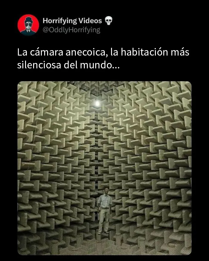 20 Imágenes extrañamente aterradoras que te llenarán de inquietud