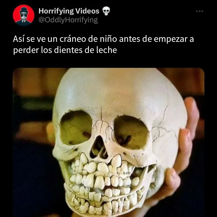 20 Imágenes extrañamente aterradoras que te llenarán de inquietud