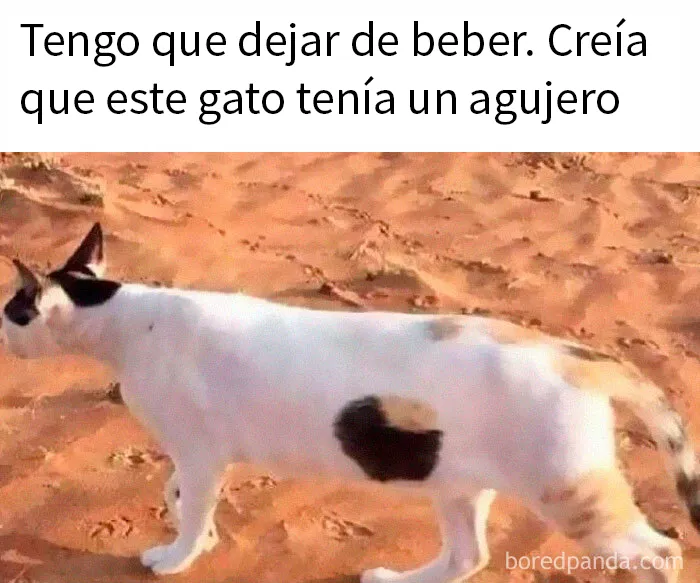 20 Divertidos memes sobre ciencia para aprender y reír a la vez