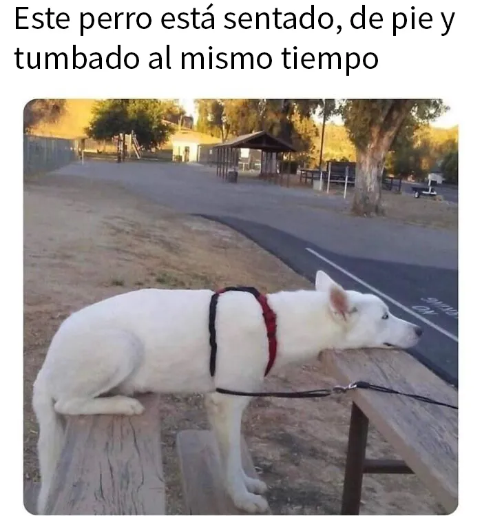 20 Divertidos memes sobre ciencia para aprender y reír a la vez