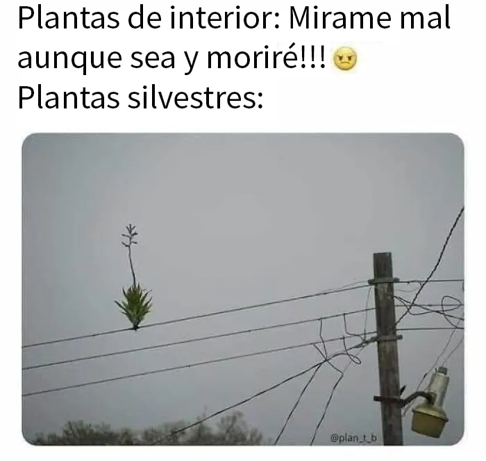 20 Divertidos memes sobre ciencia para aprender y reír a la vez