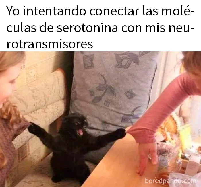 20 Divertidos memes sobre ciencia para aprender y reír a la vez
