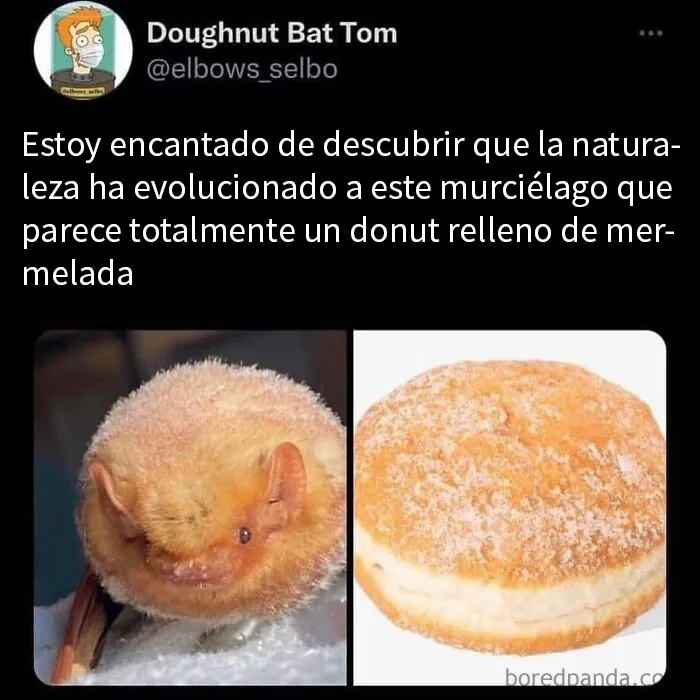20 Divertidos memes sobre ciencia para aprender y reír a la vez