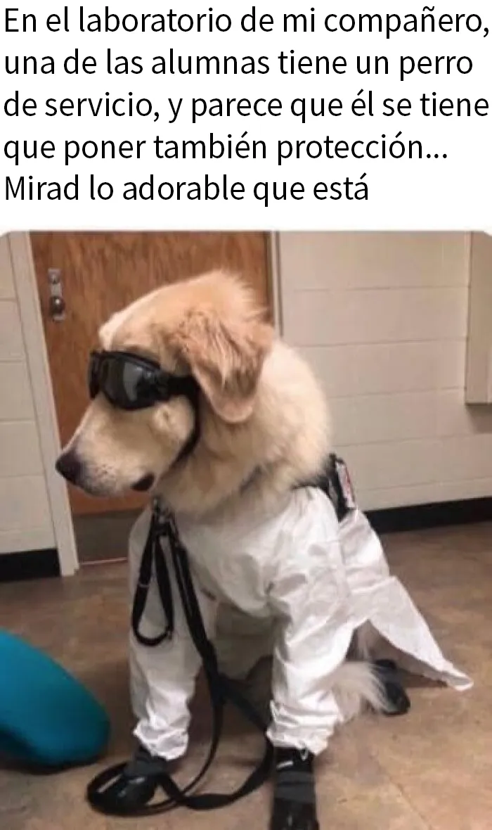 20 Divertidos memes sobre ciencia para aprender y reír a la vez