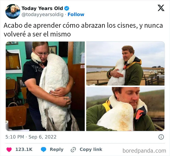 20 Divertidos memes sobre ciencia para aprender y reír a la vez