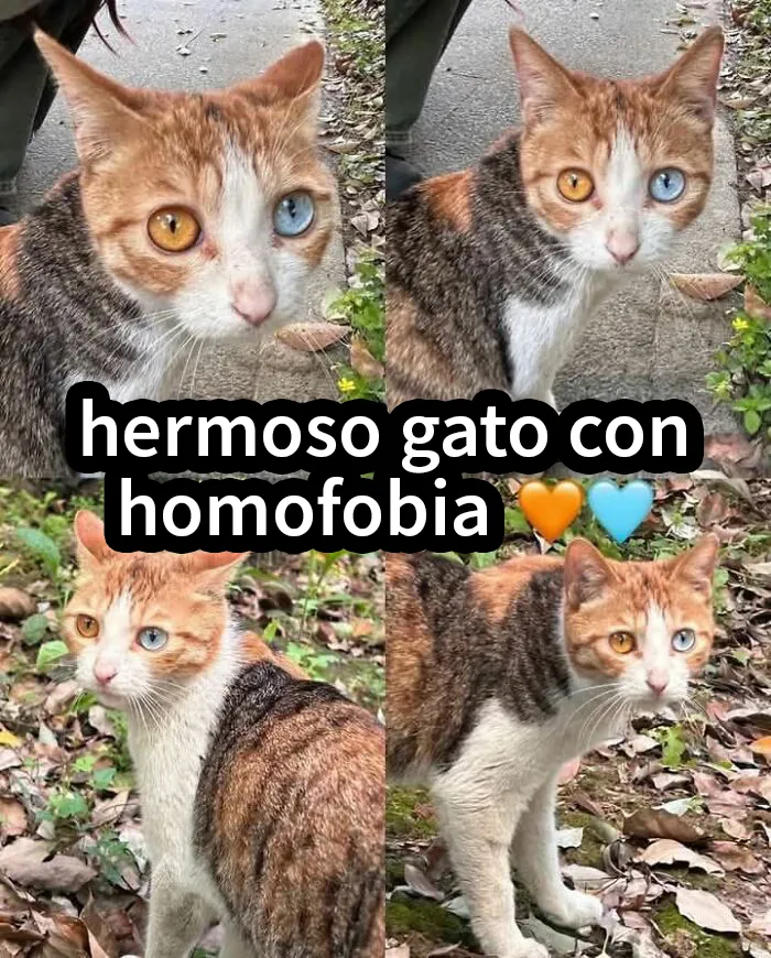 20 Afirmaciones incorrectas muy divertidas que la gente compartió en internet con toda confianza (imágenes nuevas)