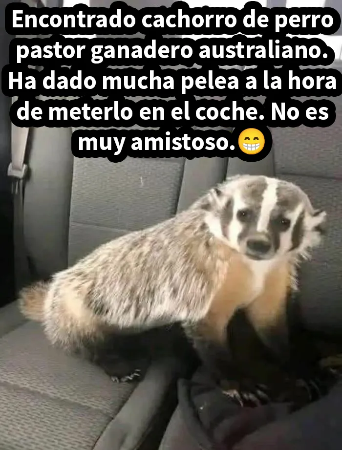 20 Afirmaciones incorrectas muy divertidas que la gente compartió en internet con toda confianza (imágenes nuevas)