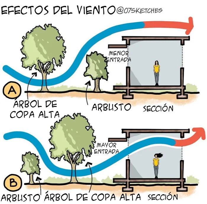 Los efectos del viento