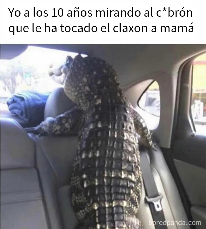 20 Memes sobre hombres que resultan universalmente familiares