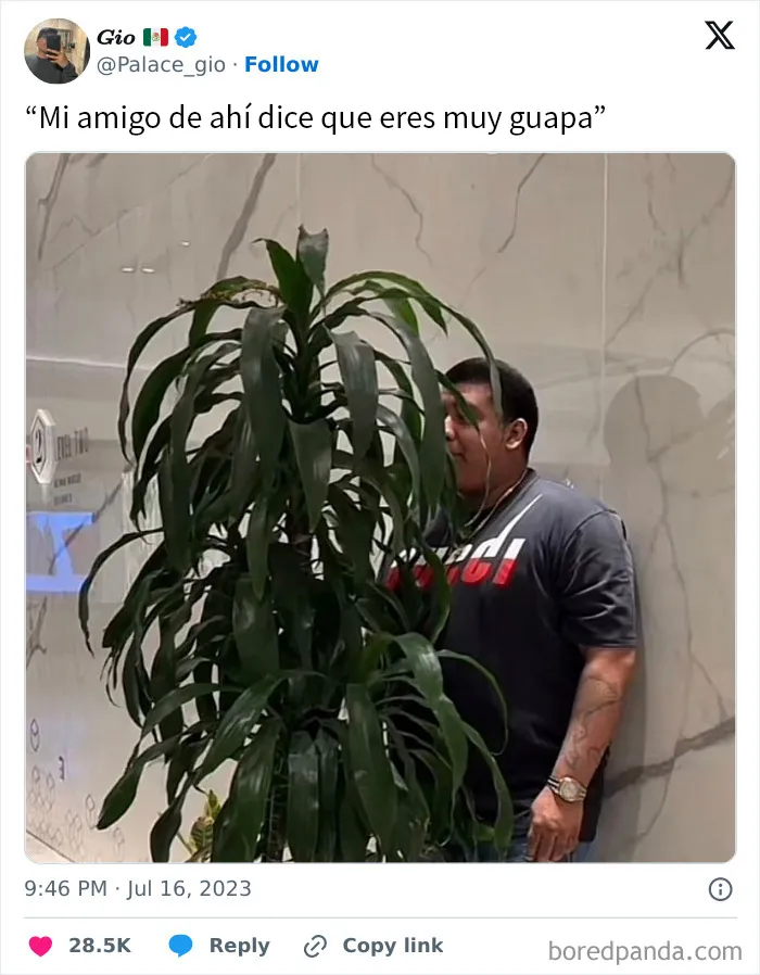 20 Memes sobre hombres que resultan universalmente familiares