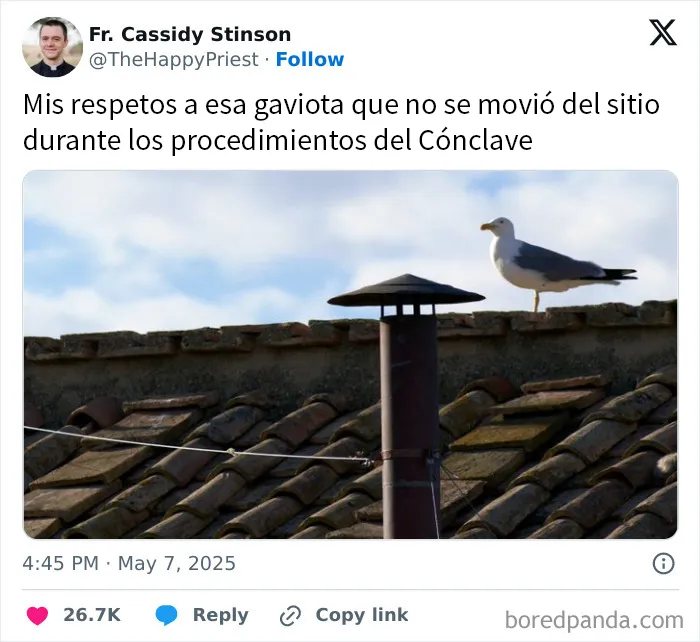 Las estrellas del Cónclave, las gaviotas