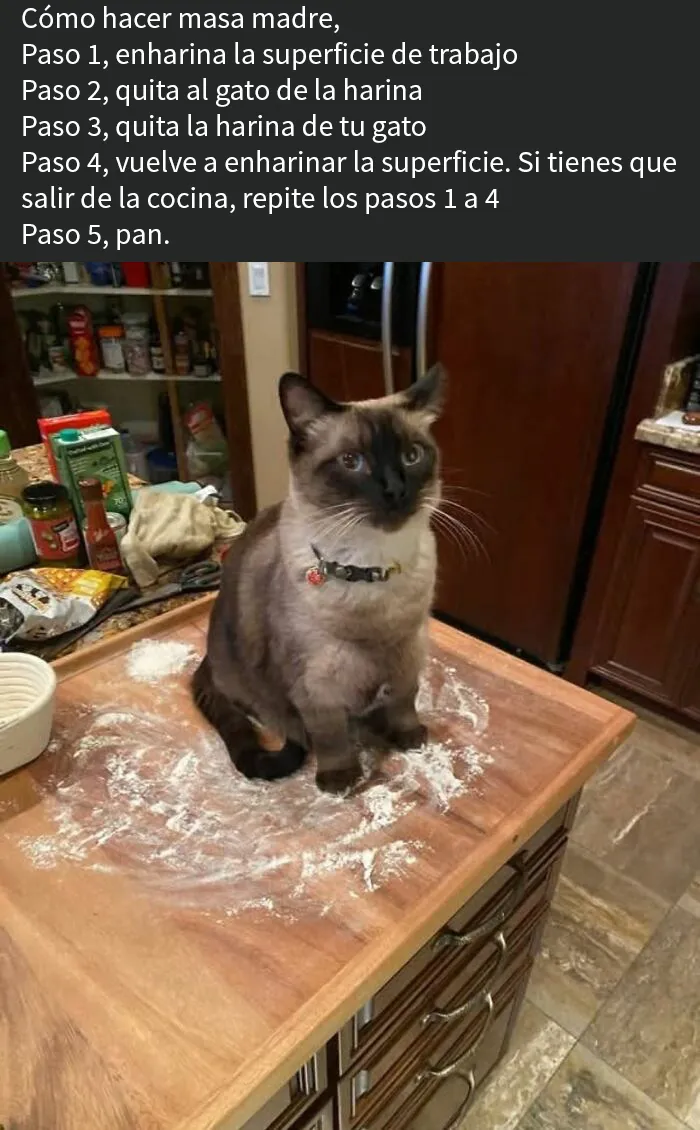 20 Personas tan asqueadas por estas comidas que tuvieron que compartirlas (nuevas fotos)