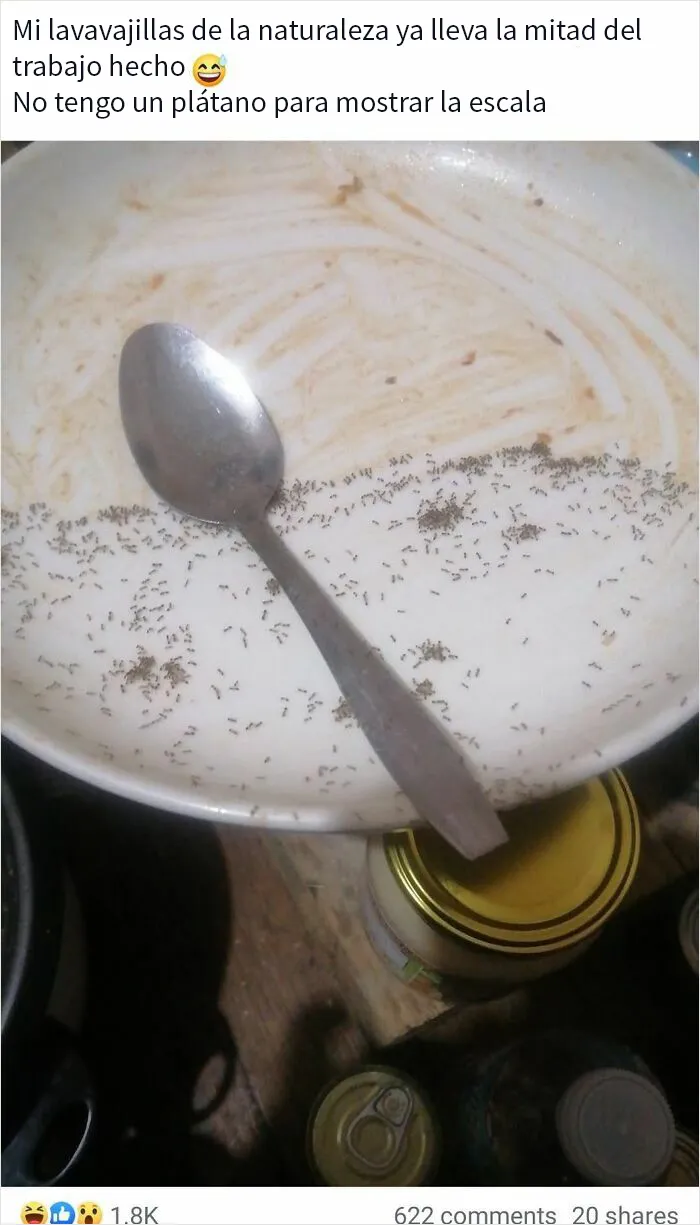 20 Personas tan asqueadas por estas comidas que tuvieron que compartirlas (nuevas fotos)