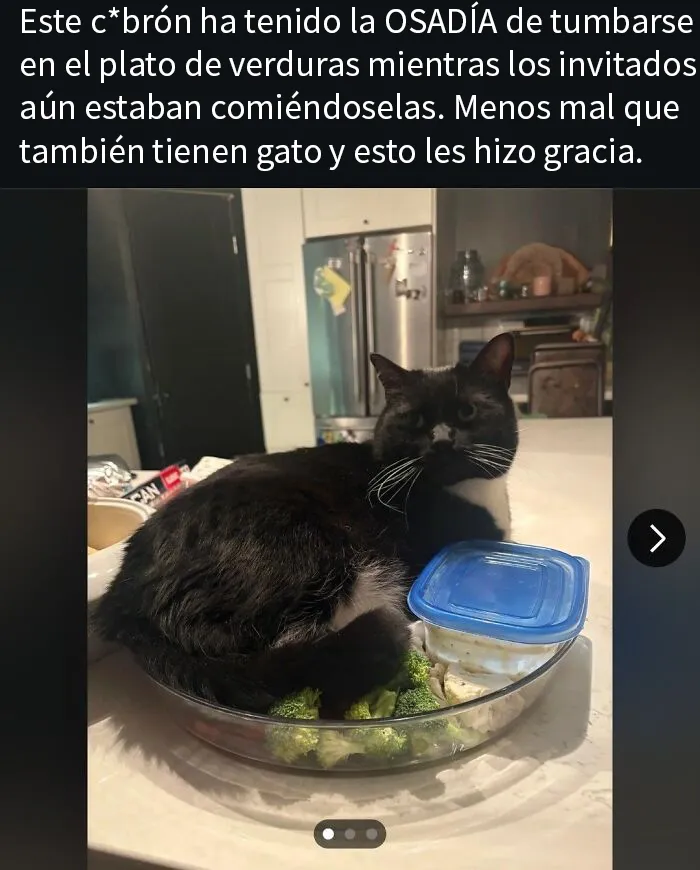 20 Personas tan asqueadas por estas comidas que tuvieron que compartirlas (nuevas fotos)