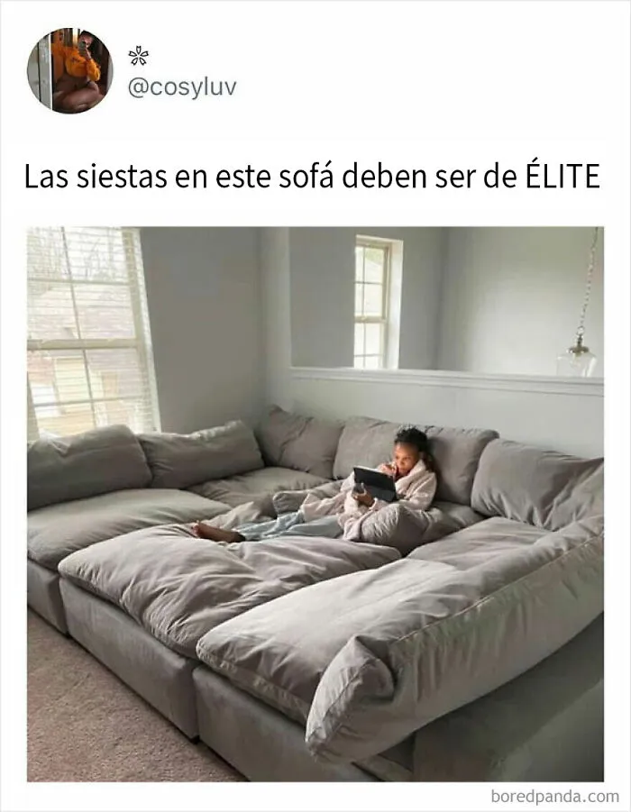 20 Memes divertidos para olvidar la tristeza